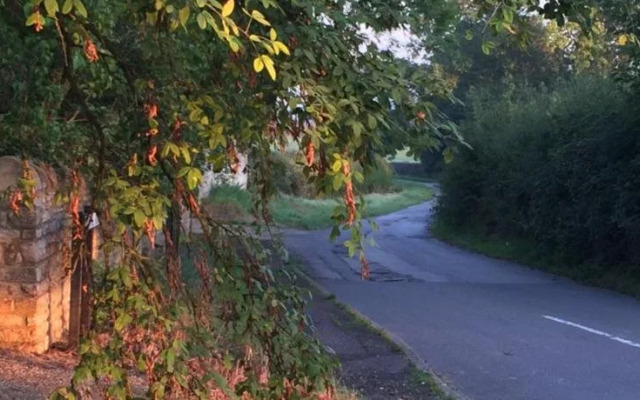 The Cherry Orchard B&B