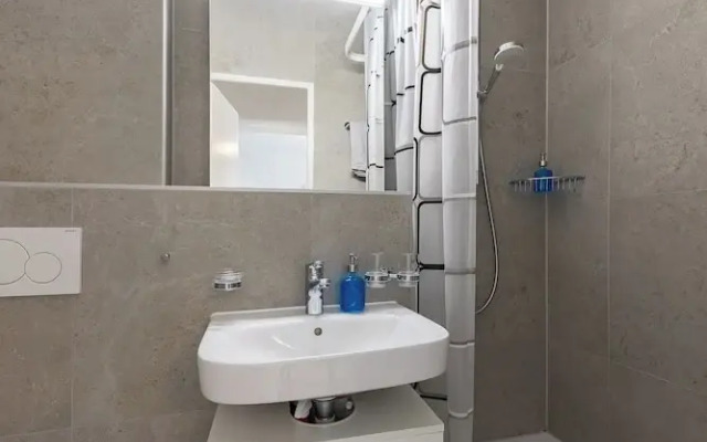 Swiss Flat Rental
