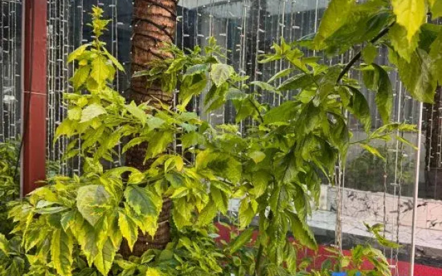 Istanblu Hotel & Spa