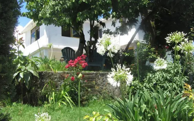 JM Butterfly B&B