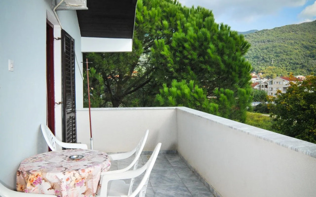 Apartments Stankovic