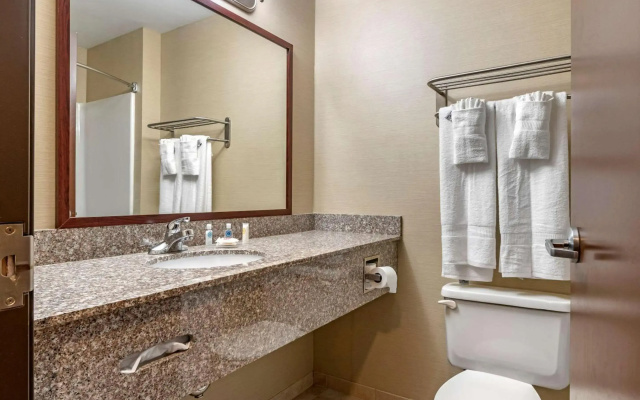 Comfort Inn Williamsport