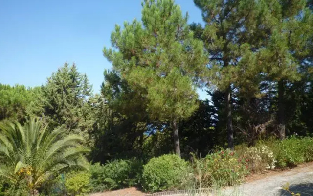 Villa E Sette Nave