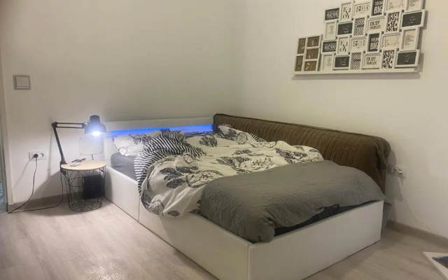 Maia Minimalist Studio