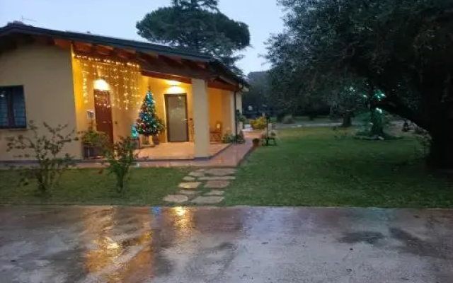 LAntico Vigneto