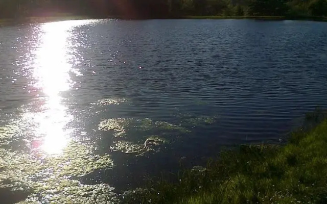Cashel Lake View
