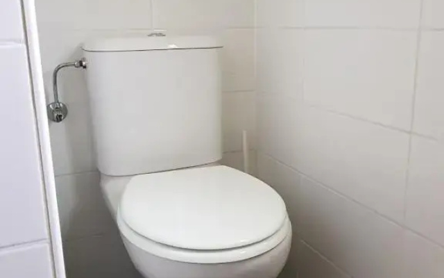 De Bijsselse Enk, Noors chalet 8