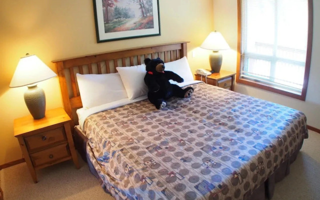 Fireside Lodge #420 By Bear Country