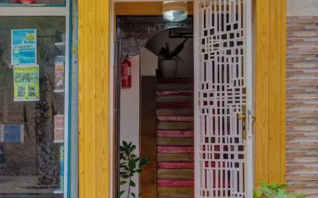 Dinosaur anza surf house