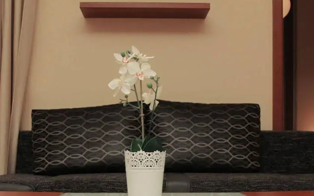 Prime Apartments