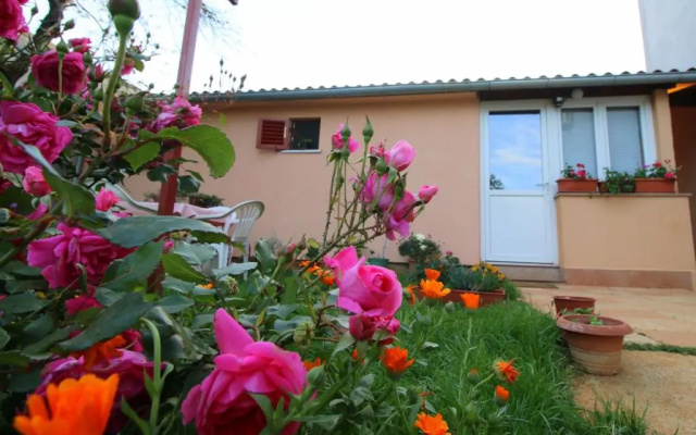 Apartment Matej