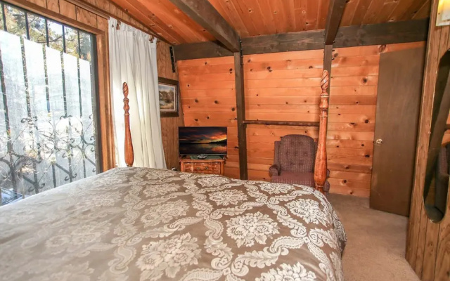 Bear Country Cabin
