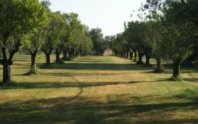 Casapanetta