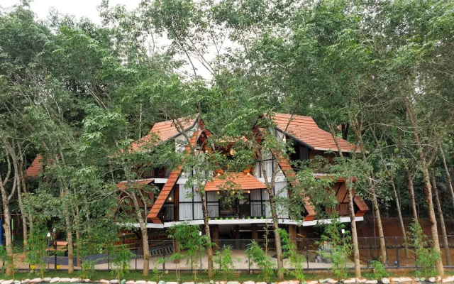 Wayanad Vista Palm View Homes