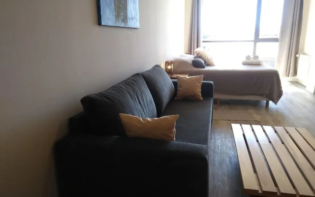 Apt Centro Bariloche Cochera Incluida I