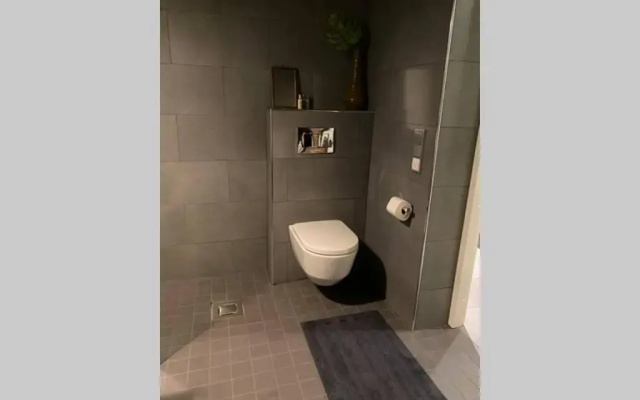 Luxury Apartment in the center