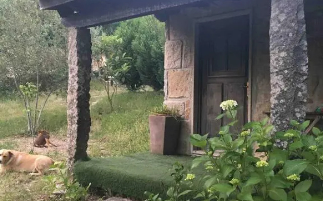 Forest House Casinha Do Carvalhal
