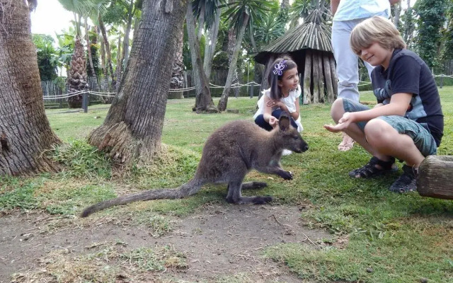Hotel Selwo Lodge - Animal Park Tickets Included