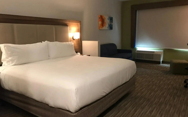 Holiday Inn Express & Suites Houston SW - Galleria Area by IHG