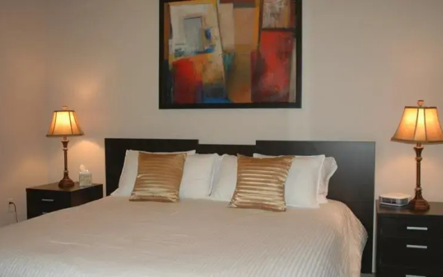 Luxury Foothills Condo Tucson
