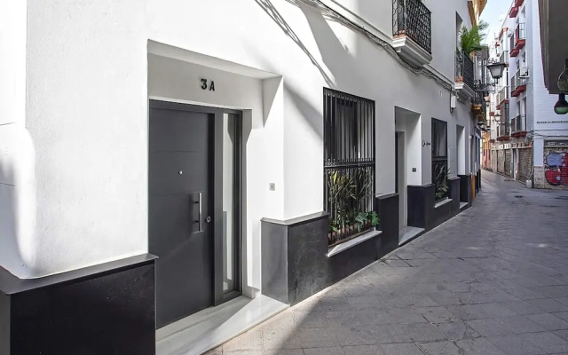 Exclusive Duplex in Seville Center Lagar II