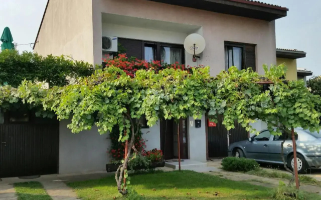 Apartment Vir
