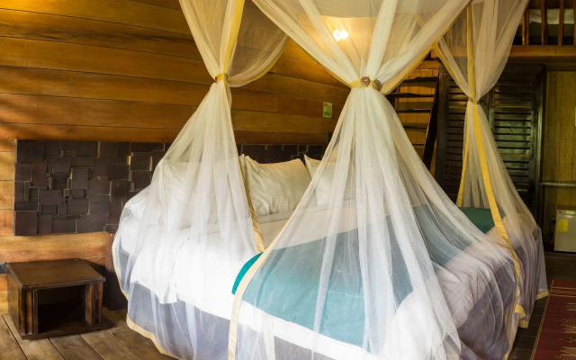 Hotel Amazon by On Vacation