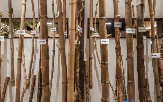 Zhi Zhi Home · Bamboo Art Homestay