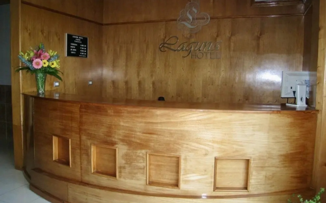 Hotel Laguna Tampico