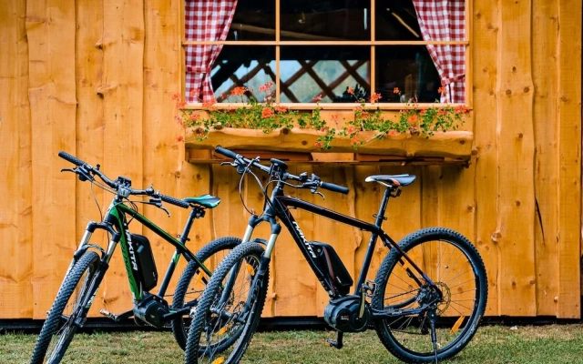 Glamping FOREST EDGE