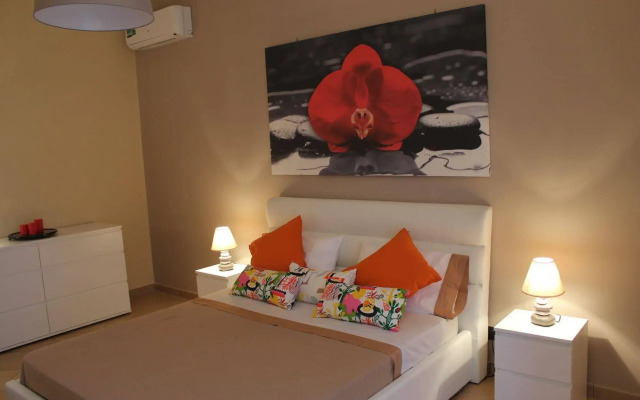 Tortugas B&B