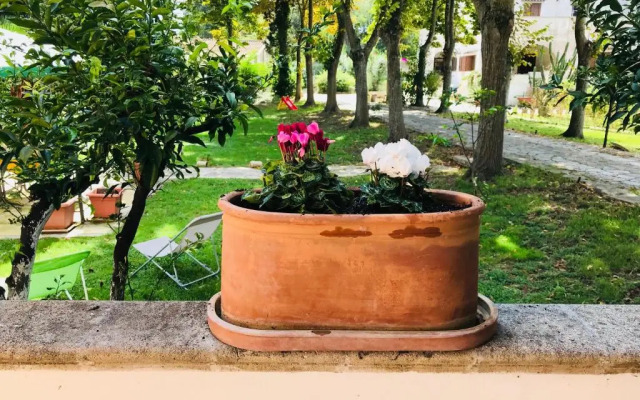 Dimora Il Tiglio- Appartamenti