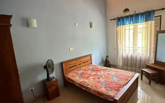 Albion Nest  Galle