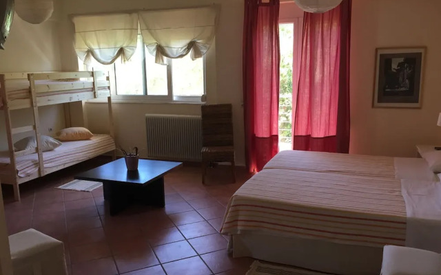 Rex Hotel