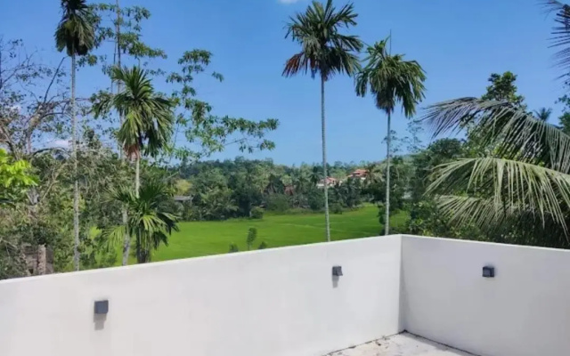 Villa Green Bamboo