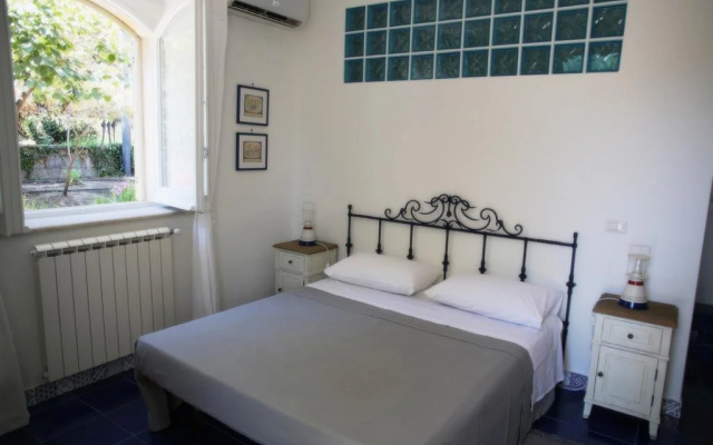 Avocado B&B Beyond