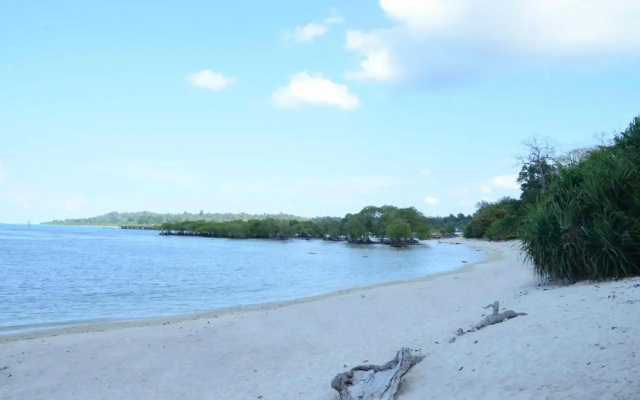 Coconhuts Beach Resort Neil Island