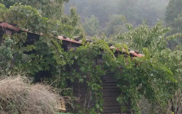 El Rincón De Los Cerezos