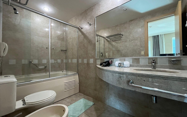 Flat Hotel Radisson Berrini | Delfhy