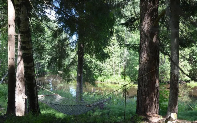 Little Forest House near the river Jägala