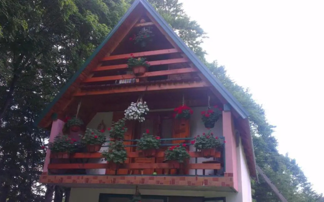 House Jaksic