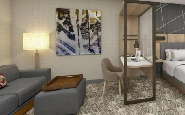 SpringHill Suites by Marriott Charlotte at Carowinds