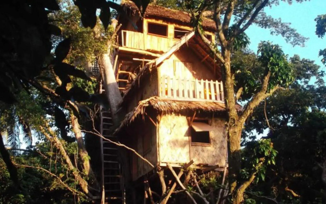 Tanna Lava View Bungalows