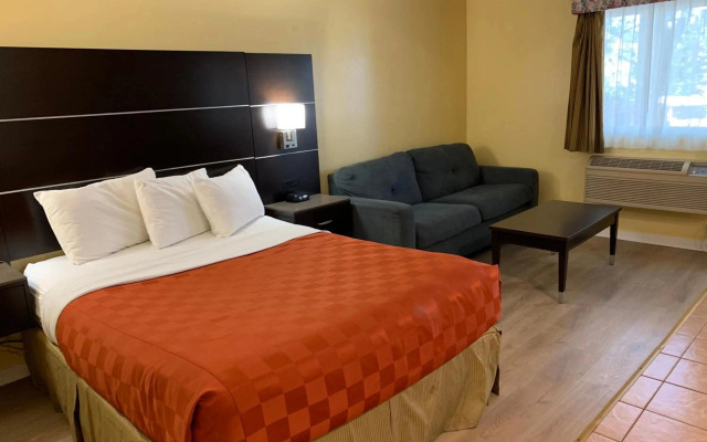 Olive Tree inn & Suites