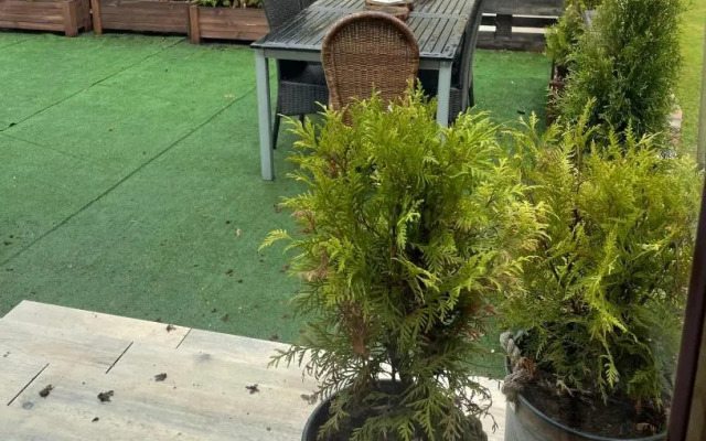Apartament Atol