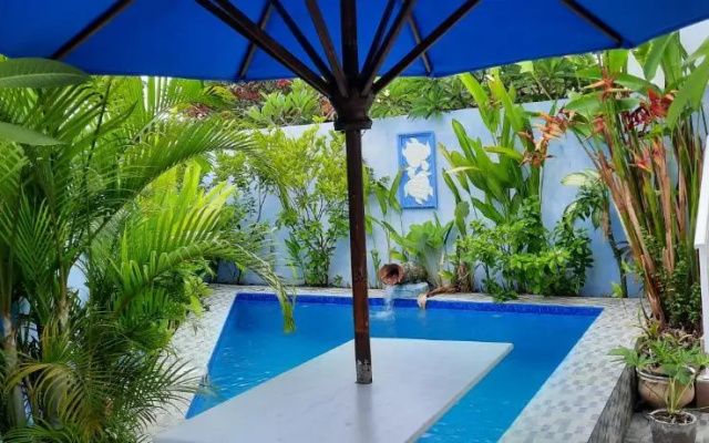 Turtle Island Homestay
