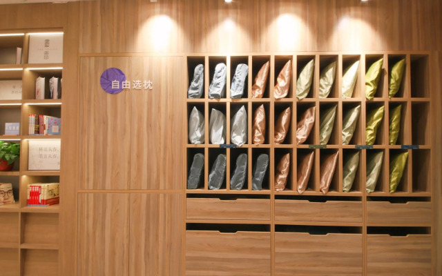 Hanting Premium Hotel Xi'an Daming Palace West Metro Station