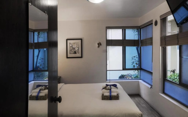 Chalet del Carmen Coyoacán