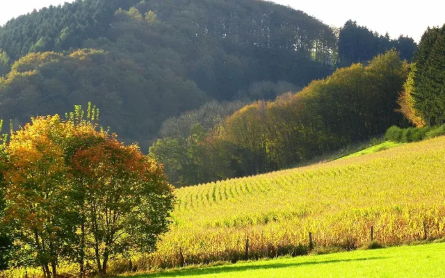 Pleasing Holiday Home near Ski Area in Schmallenberg Germany