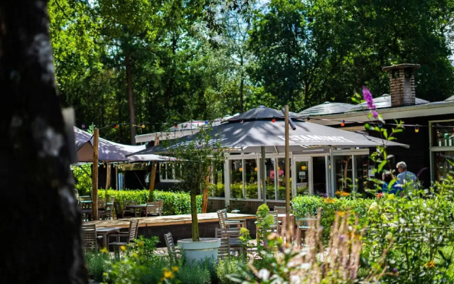 Woodland Stay With Heated Pool